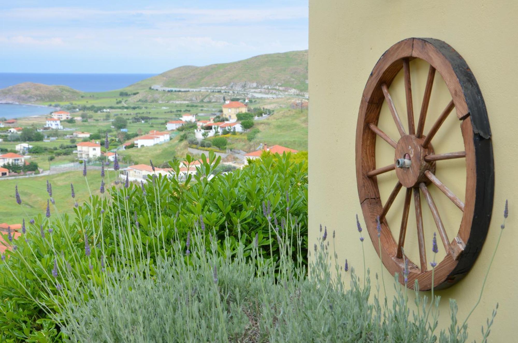 Hotel Dina - Ξενοδοχείο Ντινα Plati  Bagian luar foto