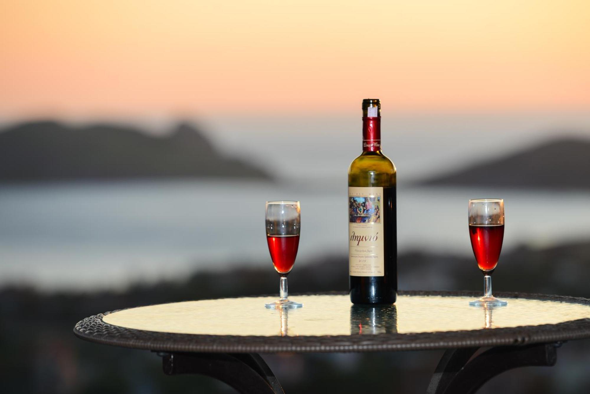 Hotel Dina - Ξενοδοχείο Ντινα Plati  Bagian luar foto