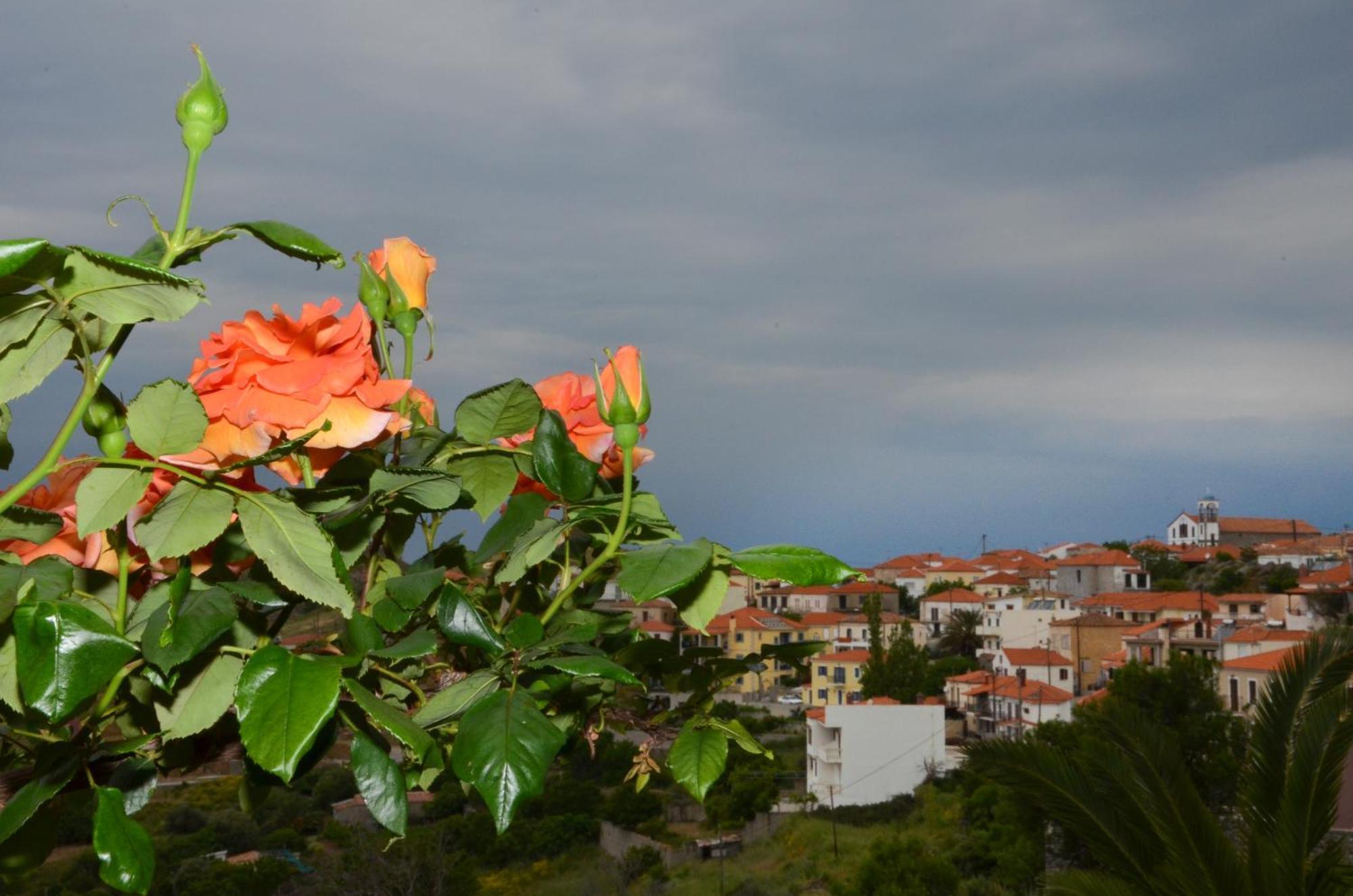 Hotel Dina - Ξενοδοχείο Ντινα Plati  Bagian luar foto