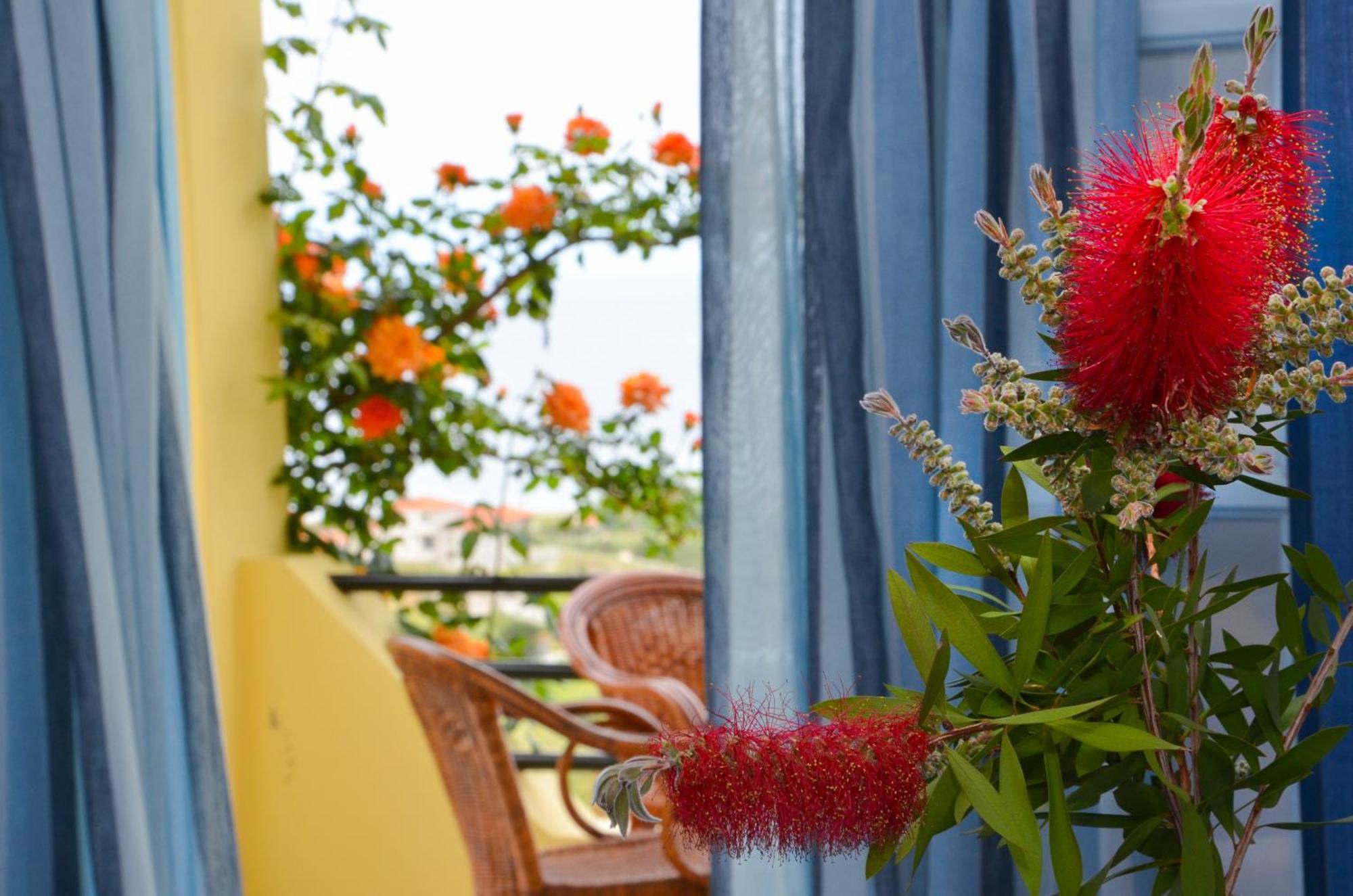 Hotel Dina - Ξενοδοχείο Ντινα Plati  Bagian luar foto
